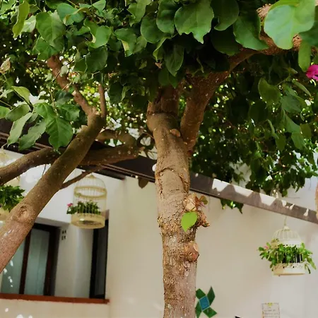 Bed & Breakfast Casa Gandamar Santa Teresa Gallura