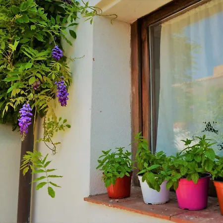 Casa Gandamar 2* Santa Teresa Gallura