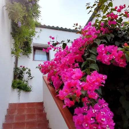 Casa Gandamar 2* Santa Teresa Gallura